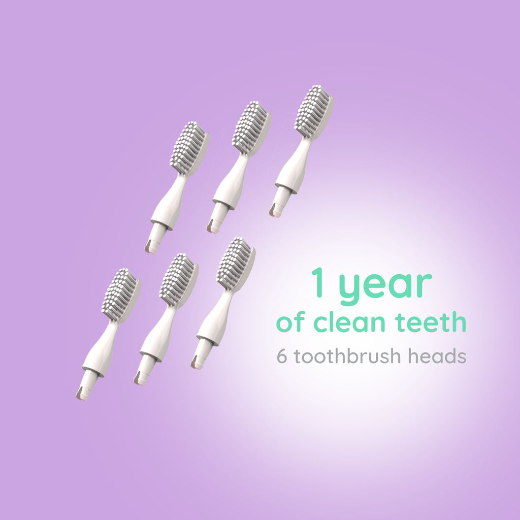 6 Replacement Toothbrush Heads