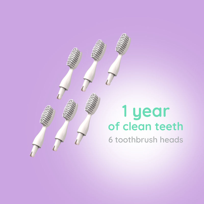 6 Replacement Toothbrush Heads